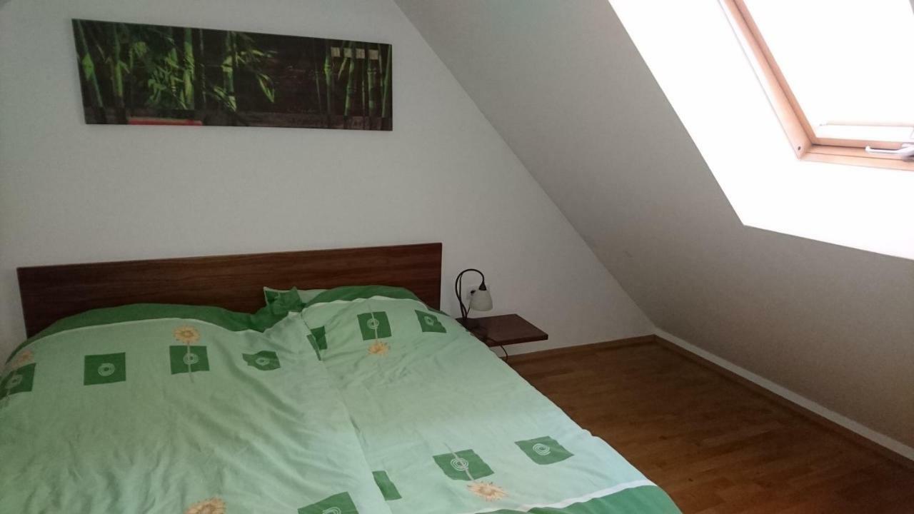 فيلا Apartma Geoteh Terme Catez 6032 Krško المظهر الخارجي الصورة
