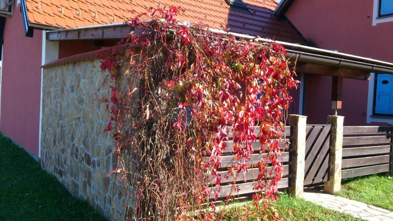 فيلا Apartma Geoteh Terme Catez 6032 Krško المظهر الخارجي الصورة
